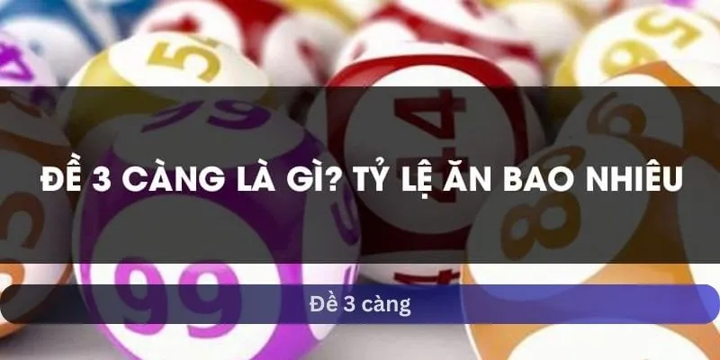 Đề 3 càng là gì