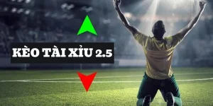 Kèo Tài Xỉu 2.5 Là Gì? Giải Mã Cách Chơi Hiệu Quả Nhất Kèo tài xỉu 2.5 là gì?